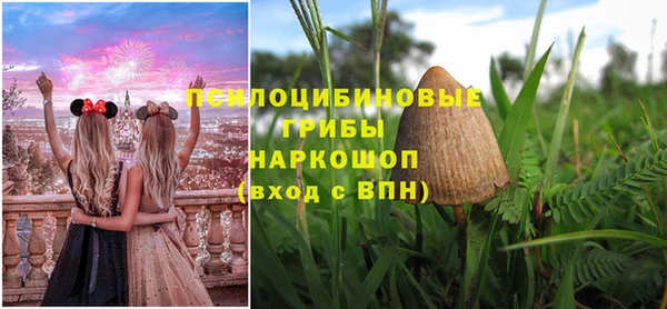 прущие крисы Елабуга