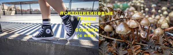 прущие крисы Елабуга