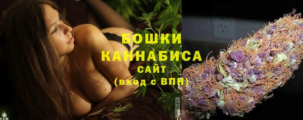 прущие крисы Елабуга