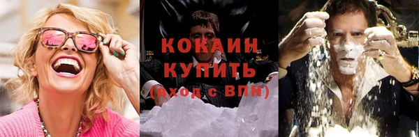 прущие крисы Елабуга